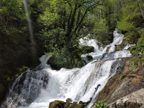 Фотографии гостевого дома
Сибиряк