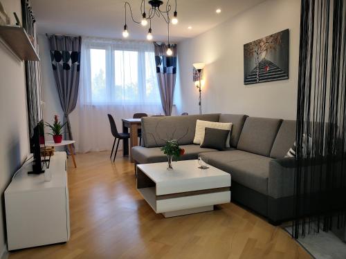 Фотография квартиры Apartament Alfa