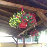 Фотография гостевого дома Guest House PIP