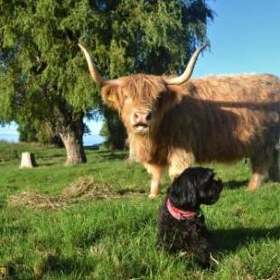 Фотографии базы отдыха
Highlands on Homestead