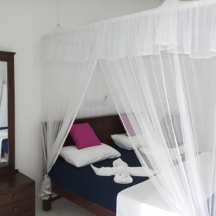 Фотография гостиницы Turtle Bay Beach Resort at Sea Goggle