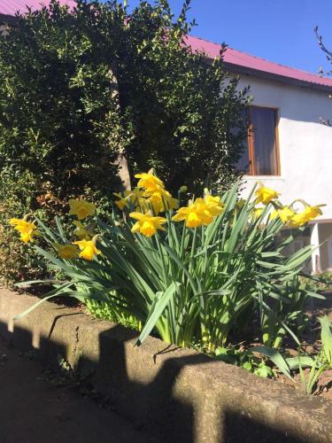 Фотография мини отеля Акнер