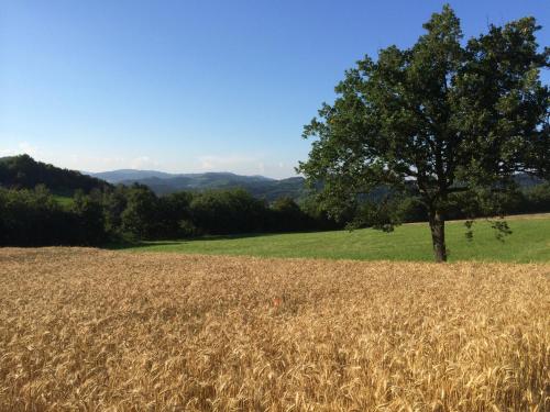 Фотография мини отеля I Calleri Garden and Rooms