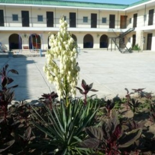 Фотография пансионата Подоляночка