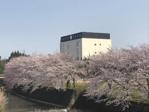 Фотография мини отеля Hotel Xenia Mikumo (Adult Only)