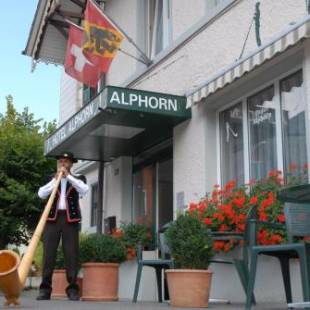 Фотографии гостиницы 
            Hotel Alphorn