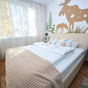 Фотография квартиры Апартаменты DD.APARTS.VBG - уютныe апаpтамeнты c 2-мя cпальнями