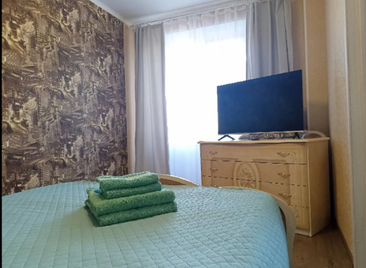 Фотографии квартиры 
            Апартаменты на улице Савушкина  46