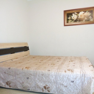 Фотография квартиры Апартаменты на Батурина 20 (5 этаж)