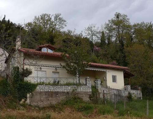 Фотография гостевого дома Plataniotissa Mansion