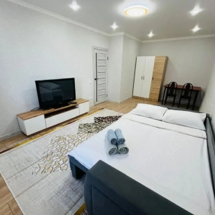 Фотография квартиры Апартаменты Казахстан Акмолинская область улица Косшигулова дом 121