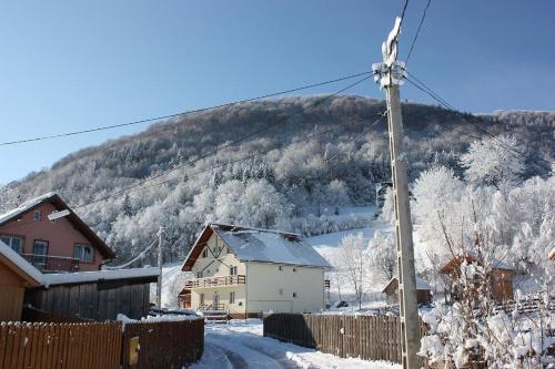 Фотография гостевого дома Vila Iulia