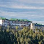 Фотография гостиницы Taj Theog Resort & Spa Shimla