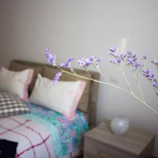 Фотографии мини отеля
A due passi dal Lumière