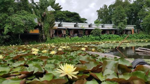 Фотография гостиницы Saikaew Resort