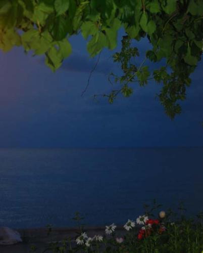 Фотография мини отеля Villa Maria