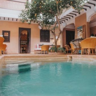 Фотография мини отеля Riad l'Oiseau du Paradis