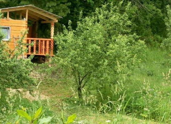 Фотография базы отдыха Фруктовый сад