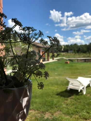 Фотография гостевого дома Новое Село