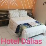 Фотография гостиницы Hotel Dalias