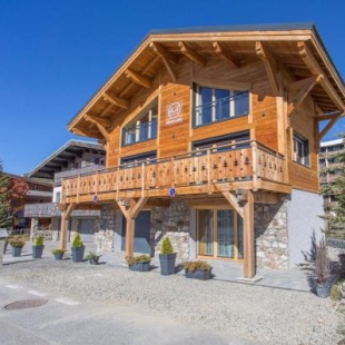 Фотография гостевого дома Chalet Secret de Neige Alpe-d'Huez