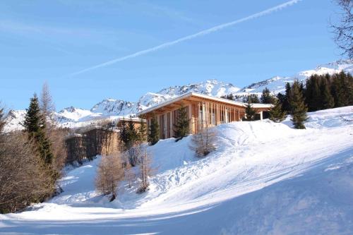 Фотография гостиницы L'Aiguille Grive Chalets Hotel