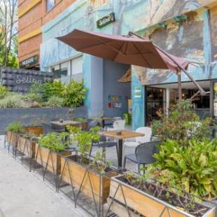 Фотографии гостиницы
Selina Medellin