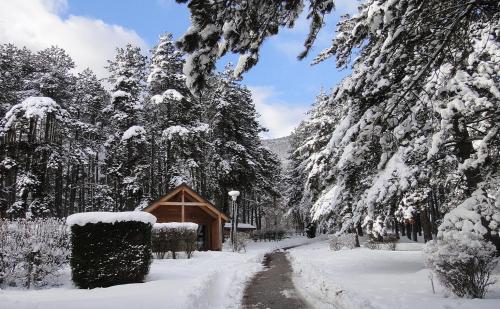 Фотография кемпинга HUTTOPIA Divonne
