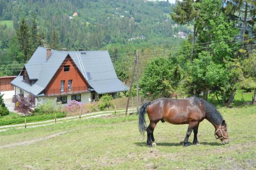 Фотографии базы отдыха 
            Agroturystyka Skałka