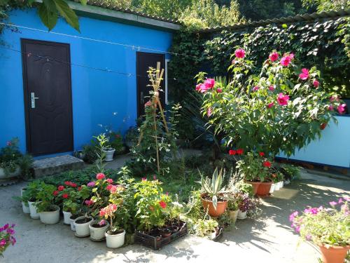 Фотография гостевого дома Чудеса