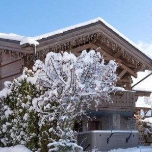 Фотография гостевого дома Chalet Lunar