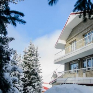 Фотография гостевого дома Shymbulak Resort House