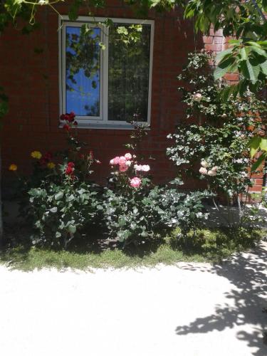 Фотография гостевого дома Мелания