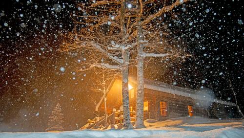 Фотография мини отеля Trail Creek Ranch