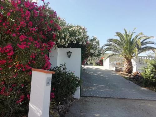 Фотография гостевого дома Alojamiento Rural La Perdiz