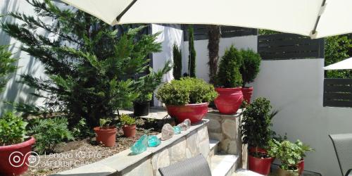 Фотография апарт отеля Studios Spiros Parga