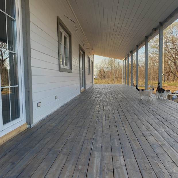 Фотографии гостиницы
Загородный отель Лес и Луга