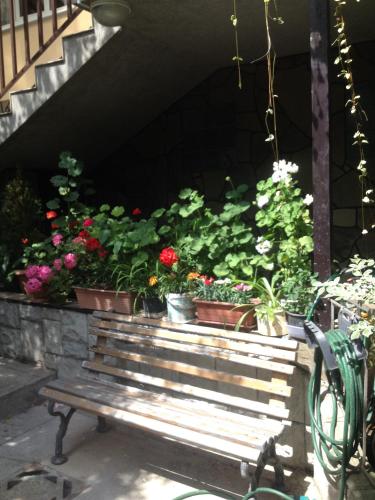 Фотография апарт отеля Happy Time in Sochi