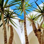 Фотография гостевого дома Vejerísimo