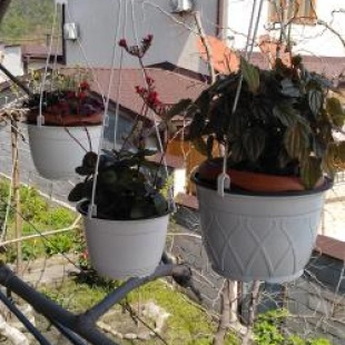 Фотография гостевого дома LeoSani