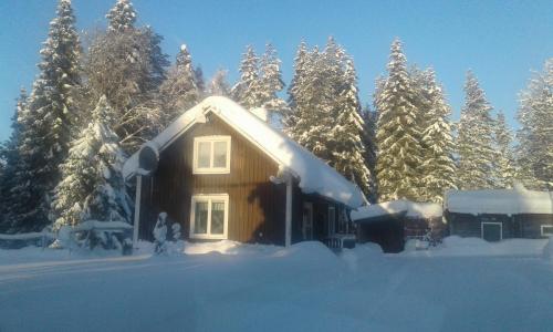 Фотография гостевого дома Holiday House in Lapland, Överkalix