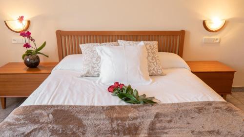 Фотография гостевого дома Hostal Montserrat