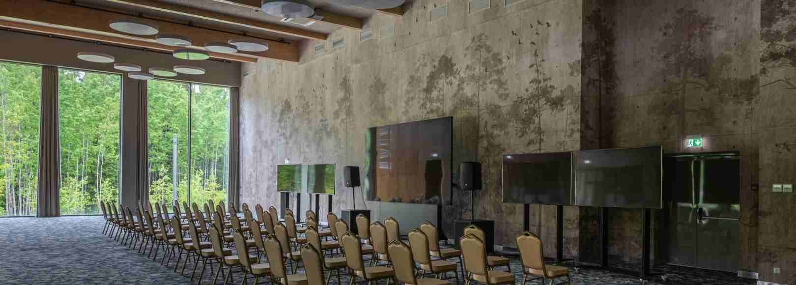 Фотография конференц-зала Сосновый бор