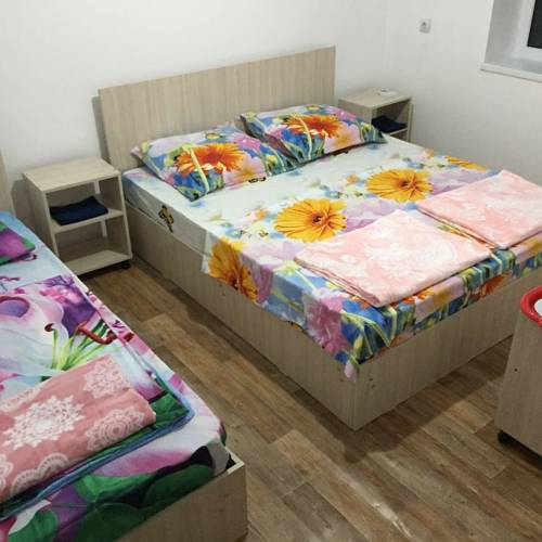 Фотография гостиницы Элис