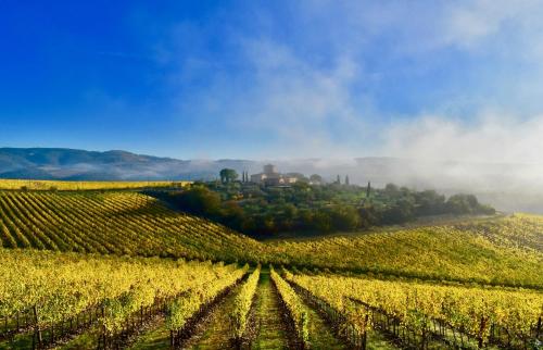 Фотография гостиницы Locanda Le Piazze