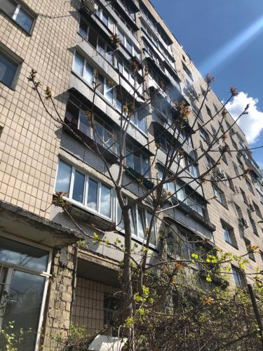 Фотография хостела Демеевская