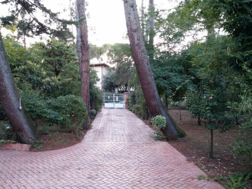 Фотография гостевого дома La Pineta