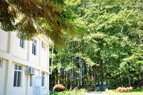 Фотография мини отеля Sea Side Lankaran