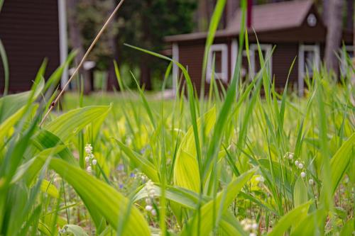 Фотографии базы отдыха
Салют