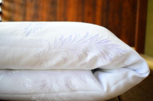 Фотография гостиницы Hotel Kube